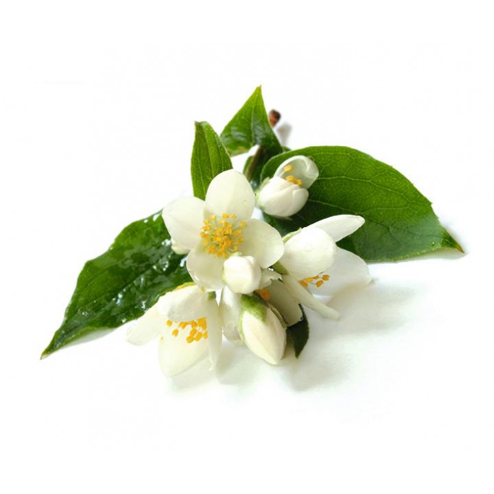 Sentiotec Sauna aromakoncentrat, jasminblomst