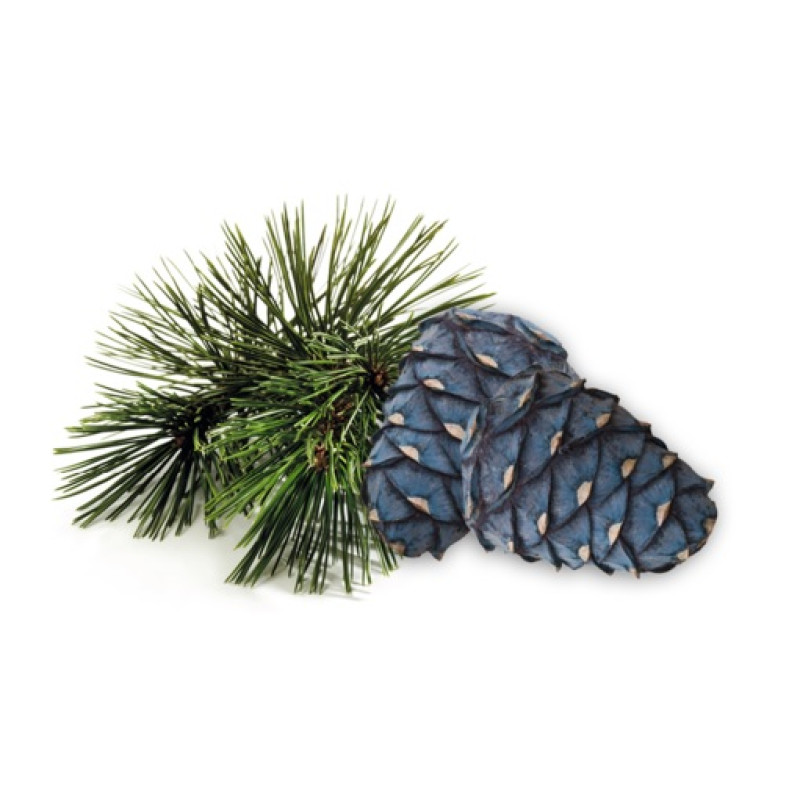 HARVIA sauna duft koncentrat, arolla fyr 1 l