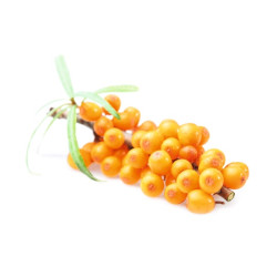 HARVIA saunaduftkoncentrat, havtorn 1 l 