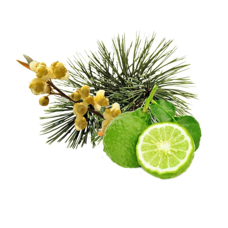 HARVIA sauna duft koncentrat, arolla fyr, bergamot og litsea cubeba 1 l