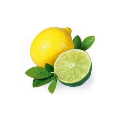 HARVIA saunaduftkoncentrat, lime og citron 1 l 