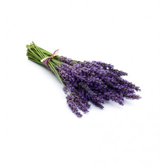 HARVIA saunaduftkoncentrat, lavendel 1 l