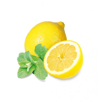 HARVIA saunaduftkoncentrat, mynte og citron 1 l