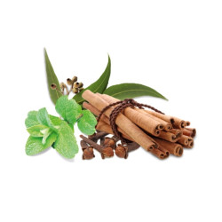 HARVIA sauna duft koncentrat, krydderi og mynte 1 l 