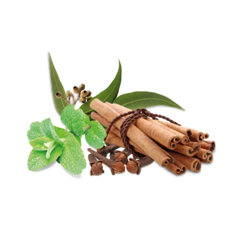 HARVIA sauna duft koncentrat, krydderi og mynte 1 l