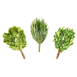 3 sauna piskeris