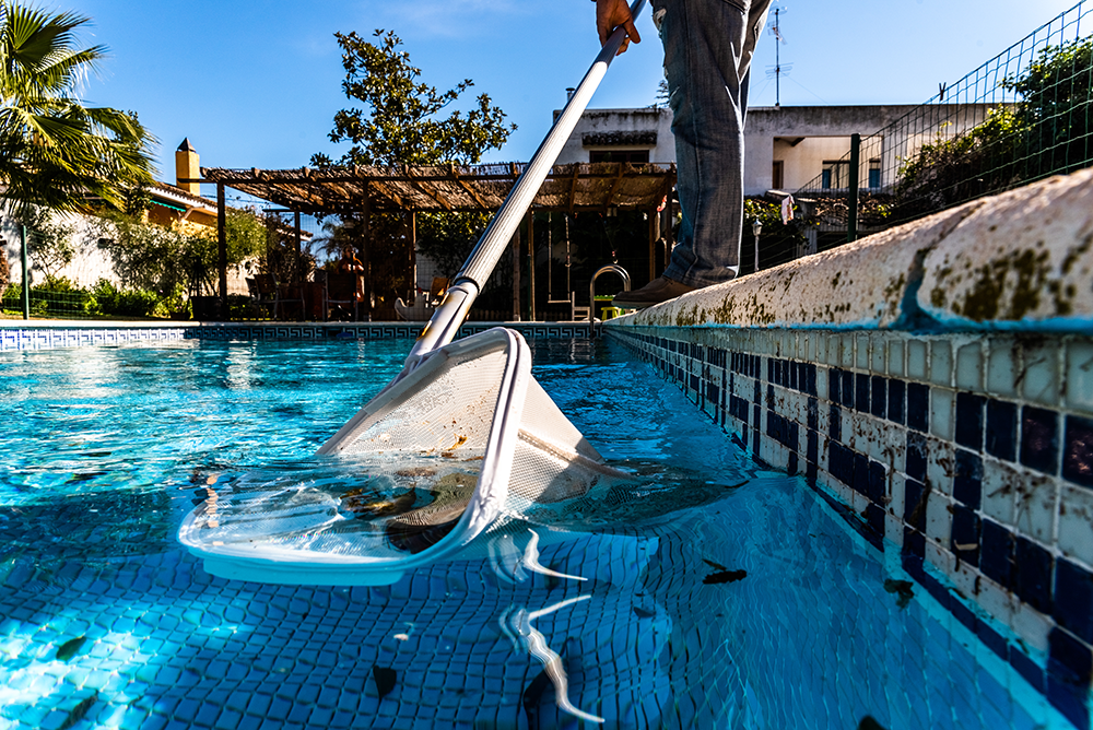beskidt pool