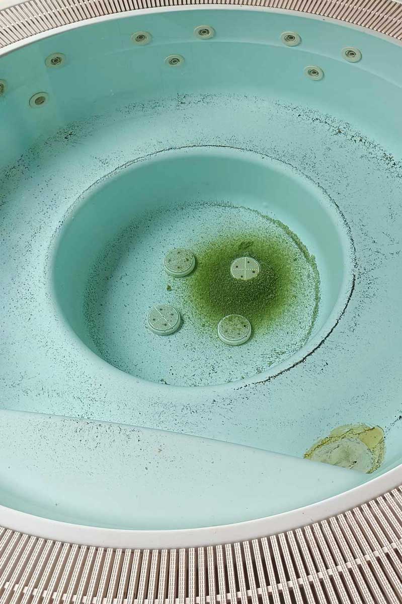 Poolsnavs forårsaget af forsømmelse, som er vanskeligt at rengøre, men muligt