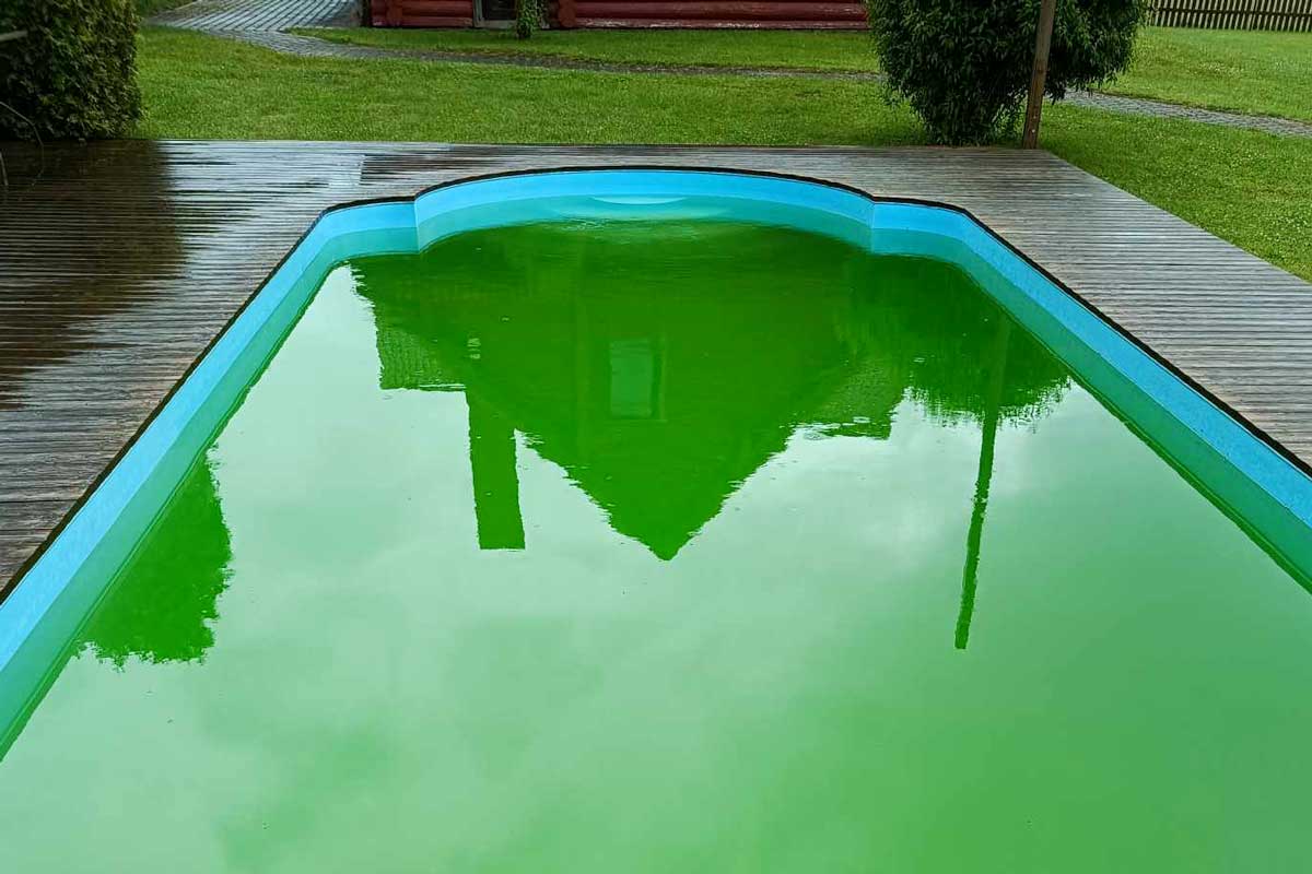 Udendørs swimmingpool med lysegrønt, tilgroet vand, der viser en uplejet og tilgroet vandoverflade